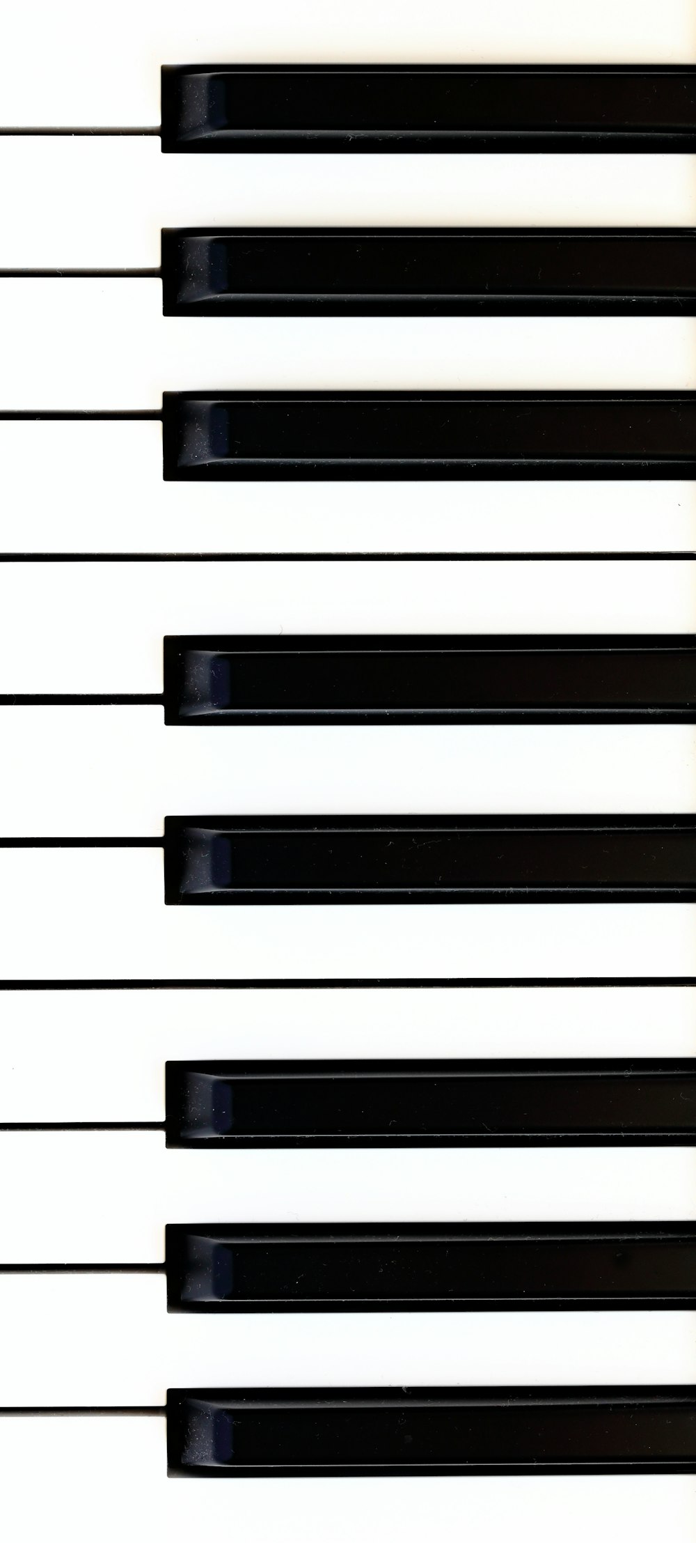 a close up of a black and white piano keys