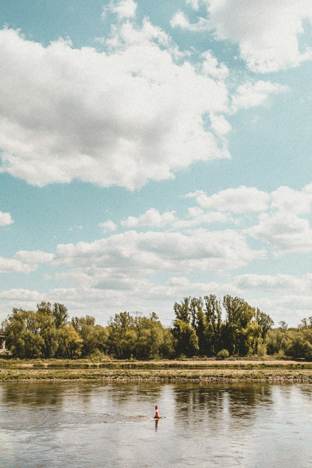 green trees under blue sky and white clouds during daytime