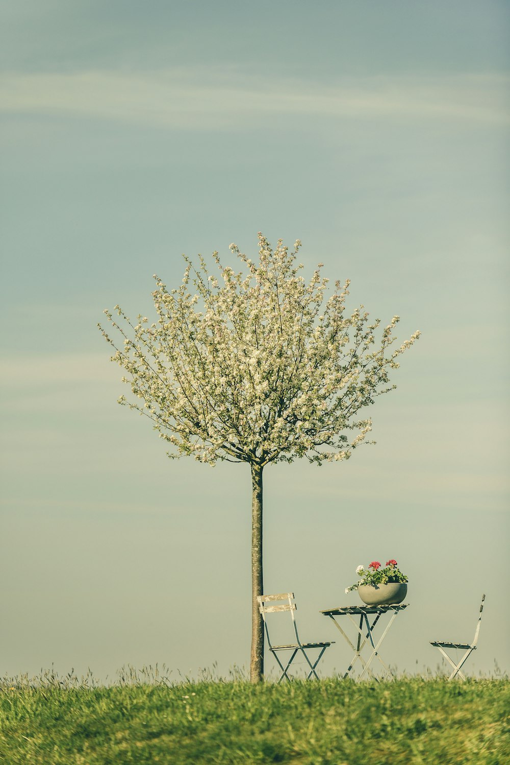 Blattloser Baum in der Nähe von Gewässern