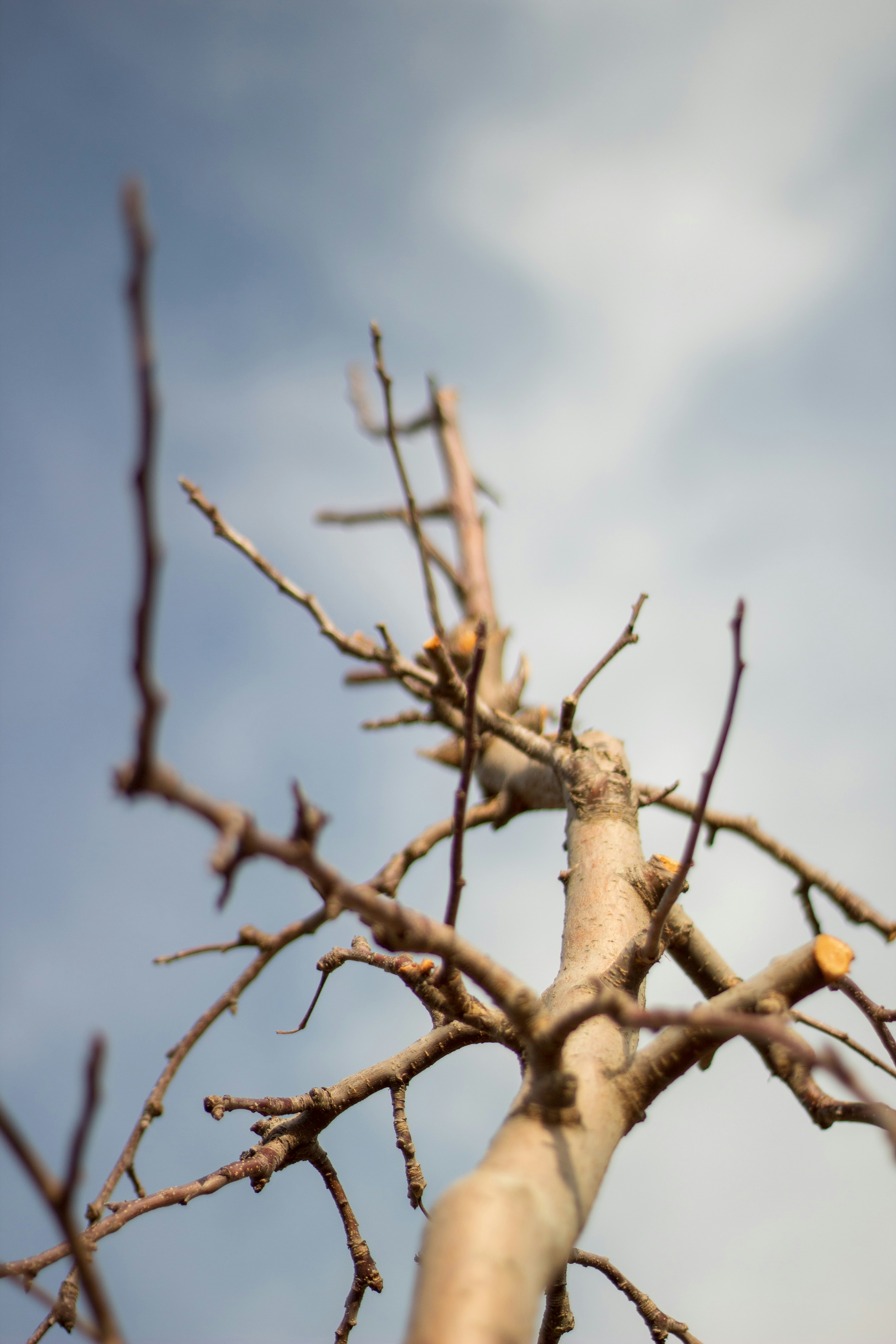 Photo by photoroutes