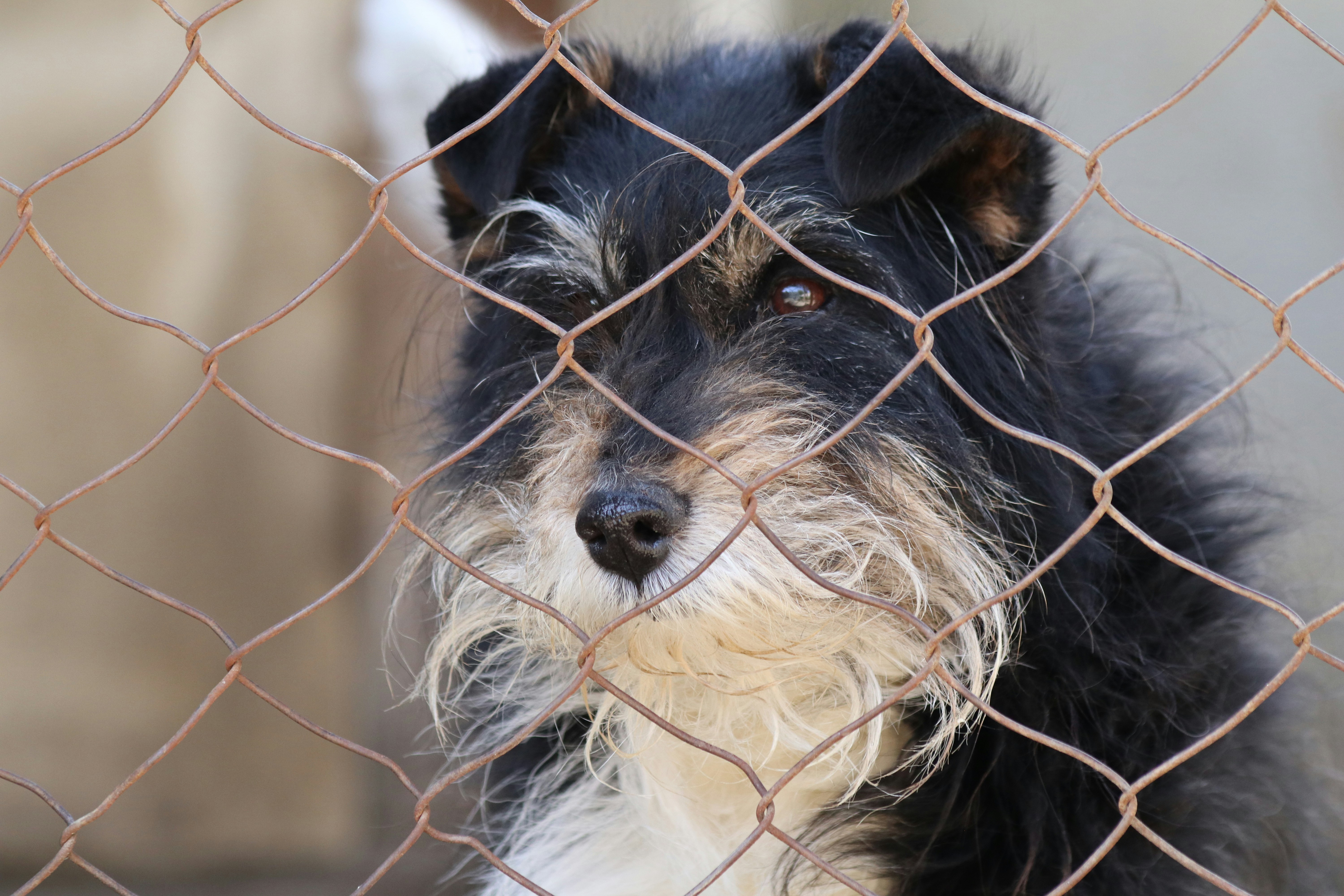 Photo by incedikitti