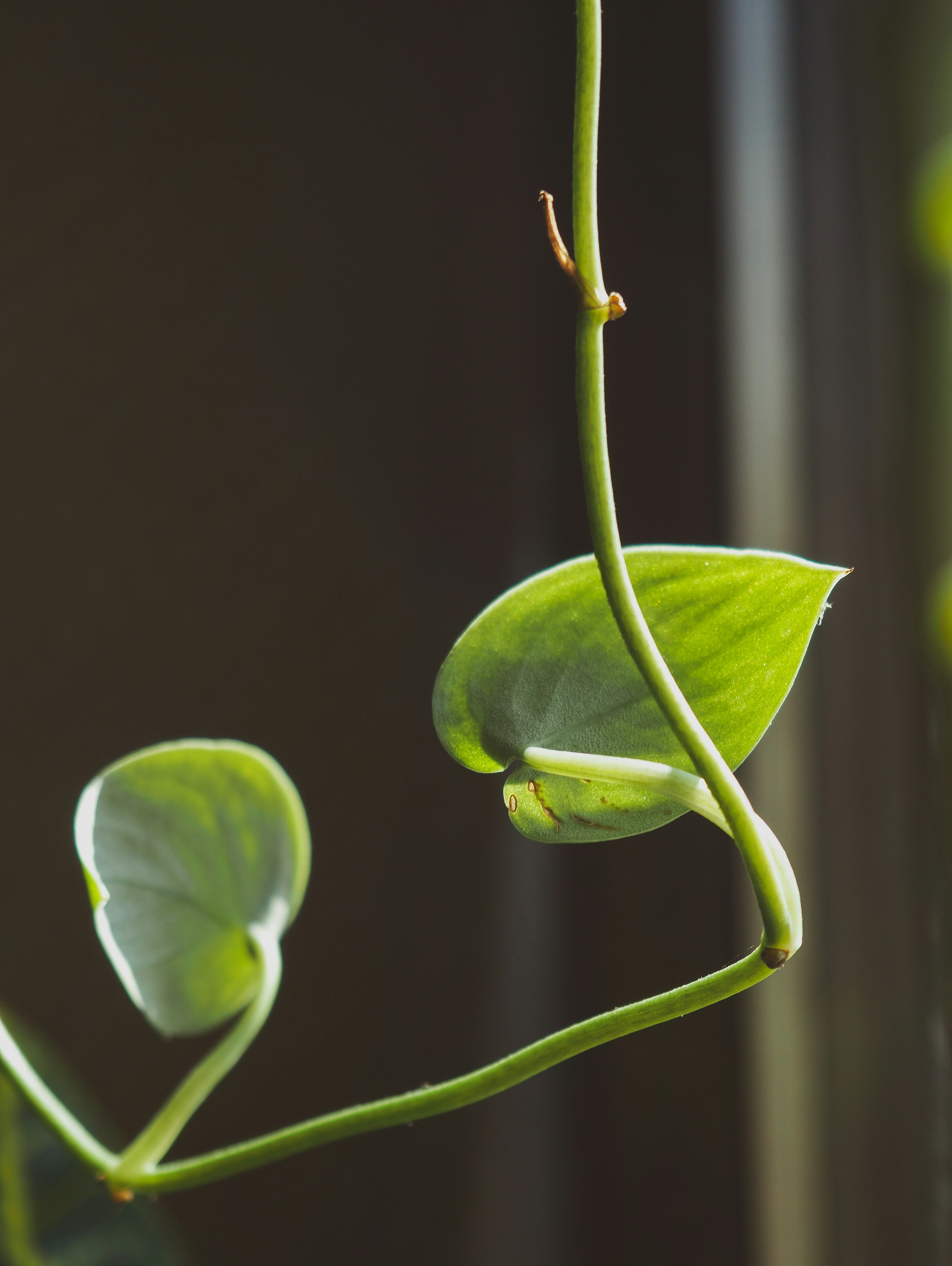 Photo by isabelnoschka