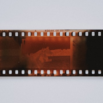 Cover Image for Experience SF Film Festival w/ Columbia Alums