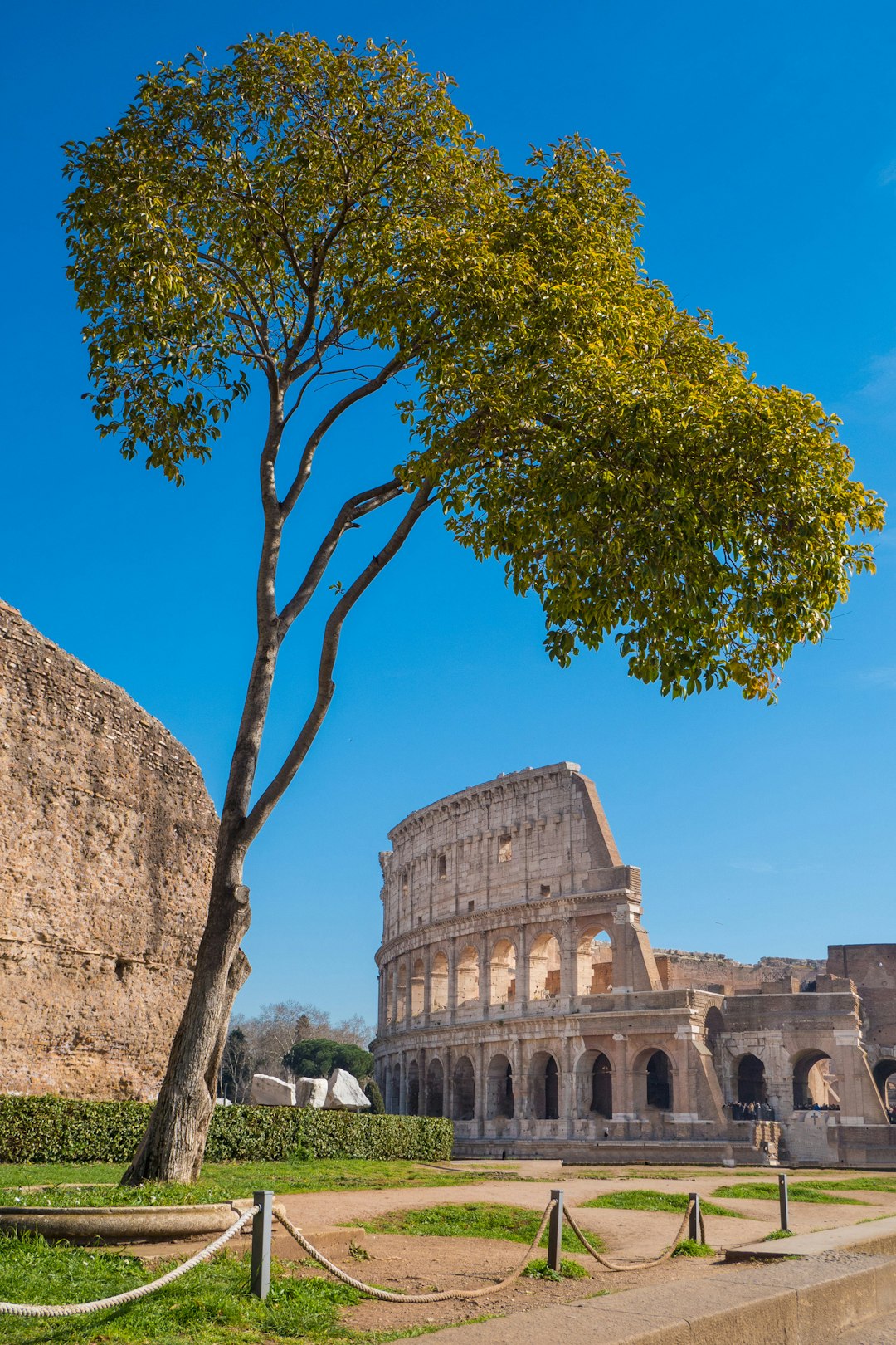 Landmark photo spot Colosseum Trevi Fountain