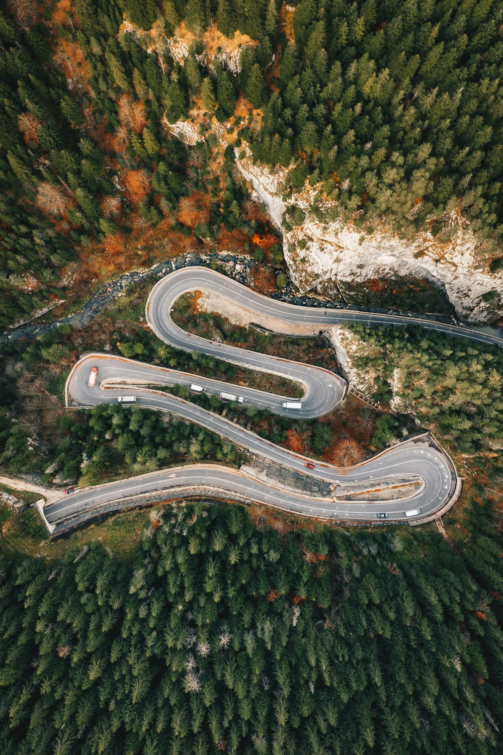 aerial view of gray road in between green trees