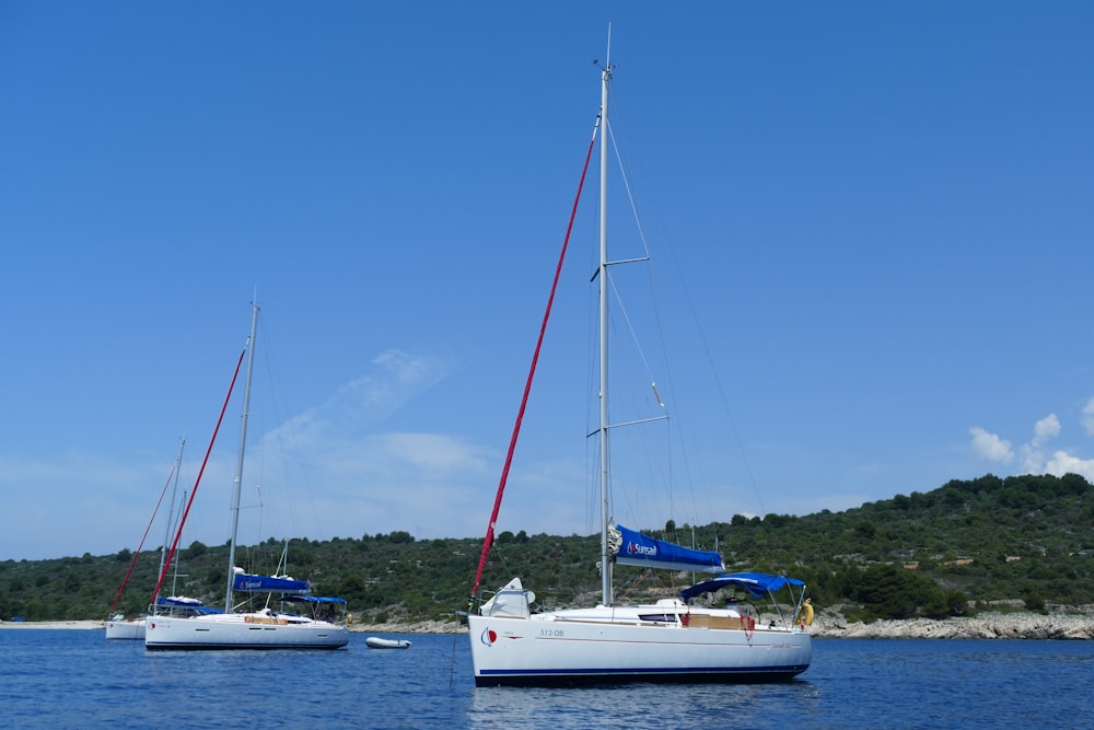 weißes Segelboot auf See tagsüber