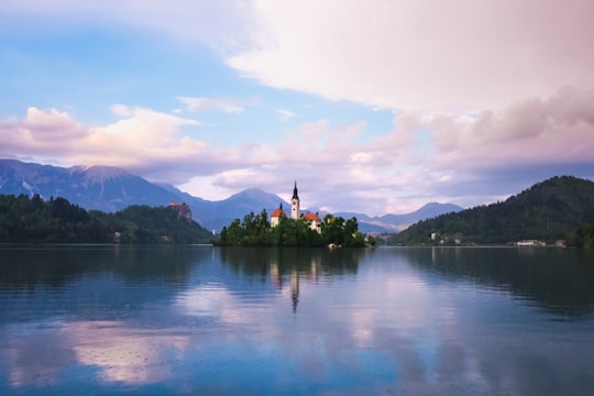 body of water near mountain during daytime in Straza hill above Lake Bled Slovenia