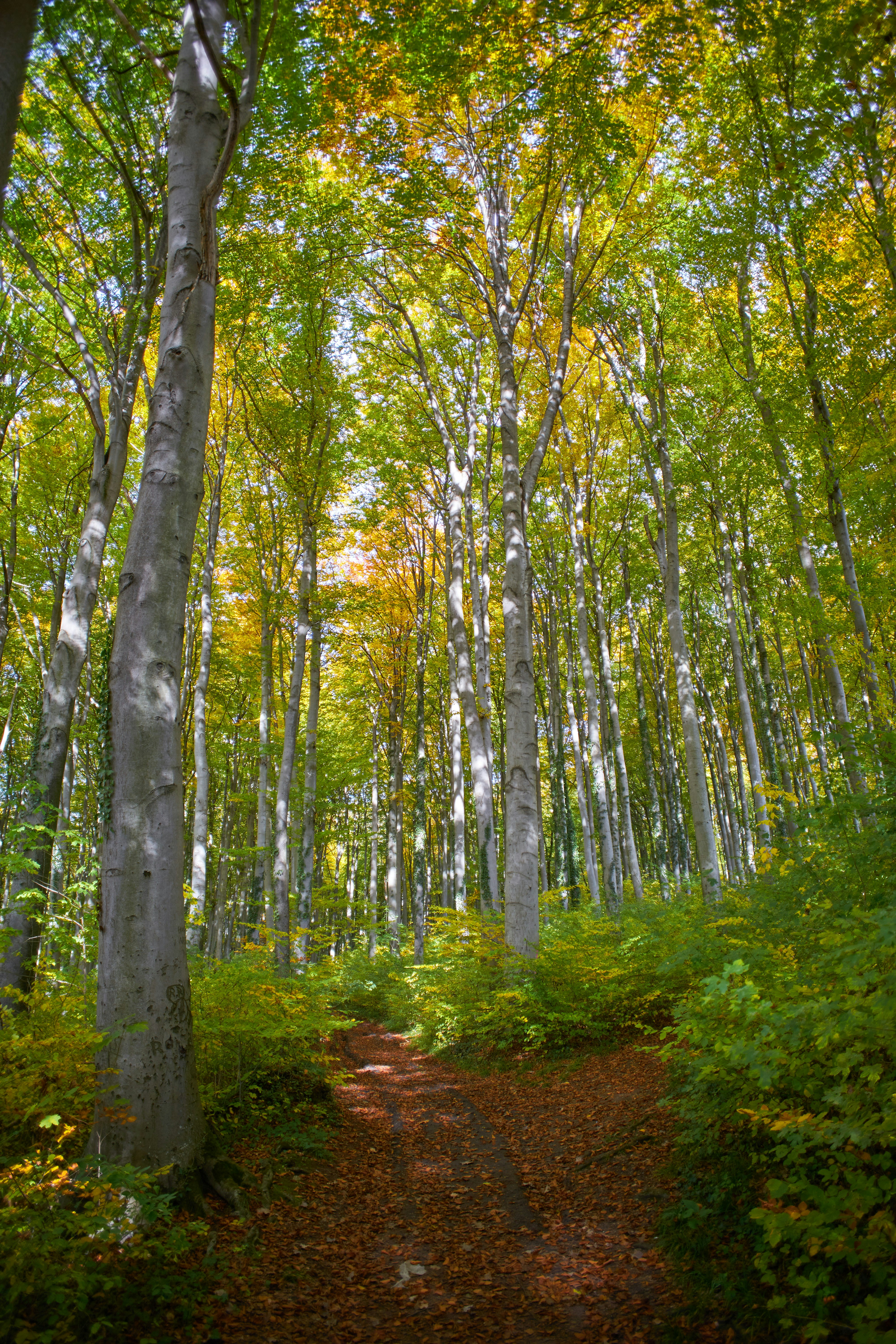 Photo by wolfgang_hasselmann