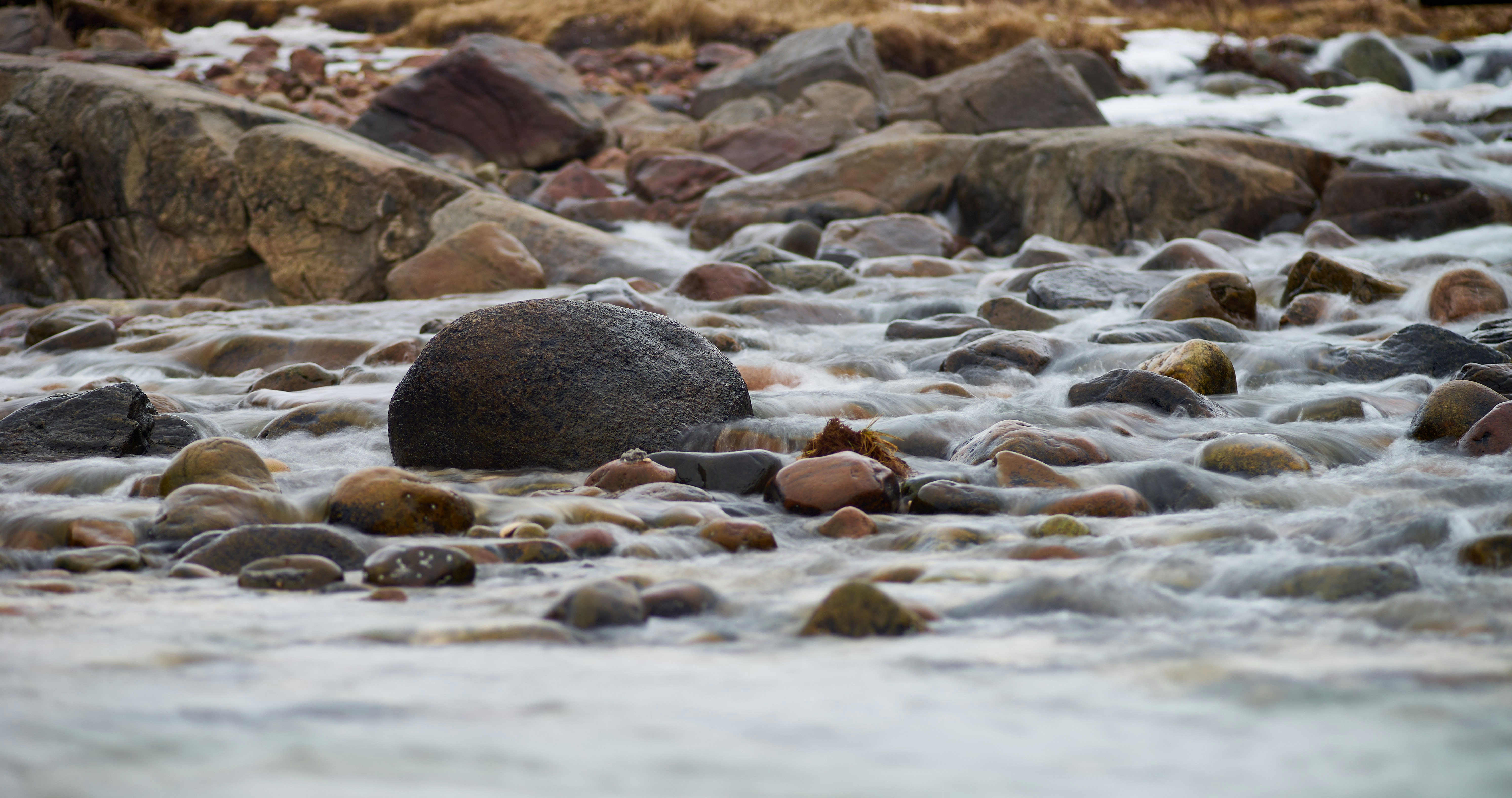 Photo by wolfgang_hasselmann