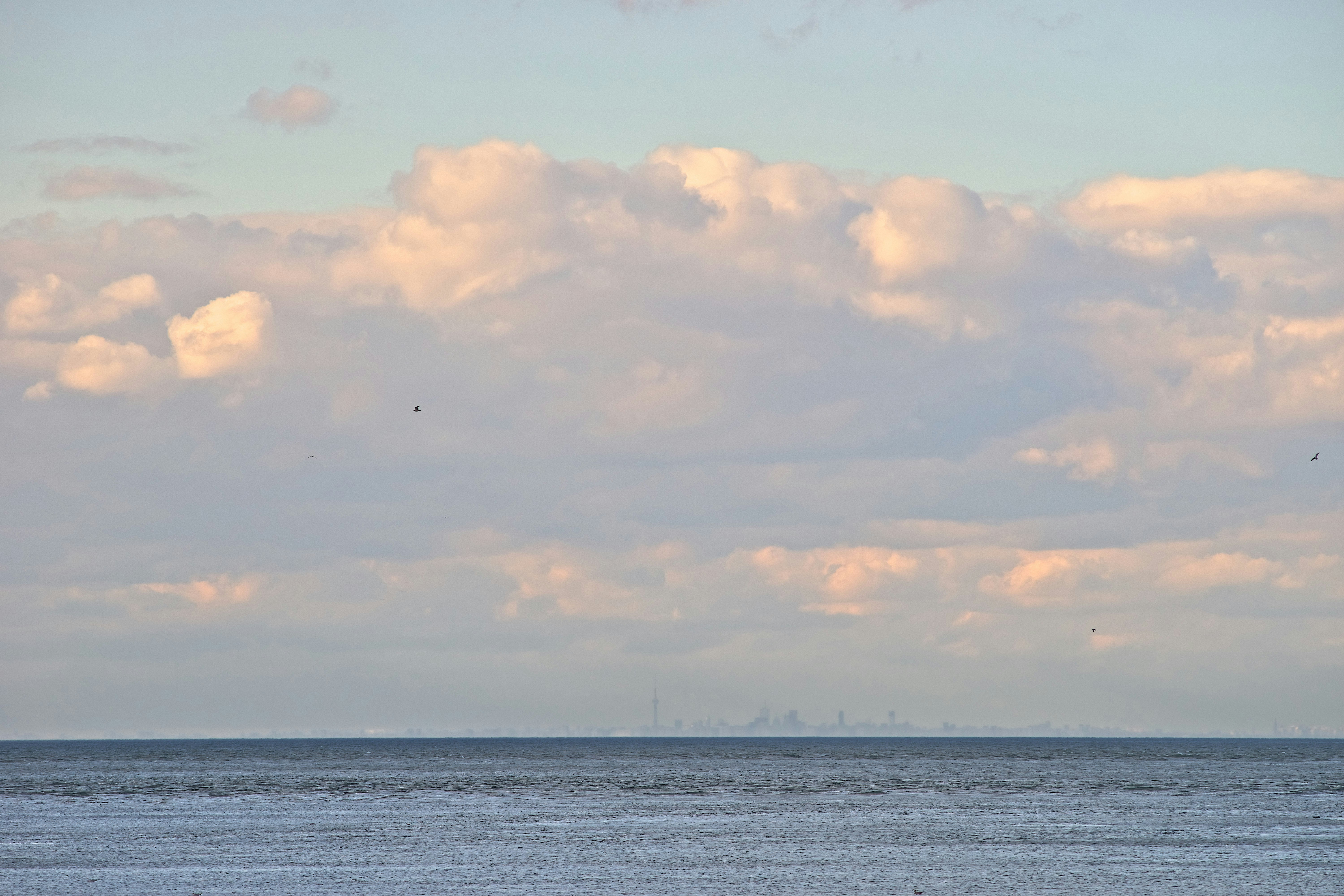 Photo by wolfgang_hasselmann