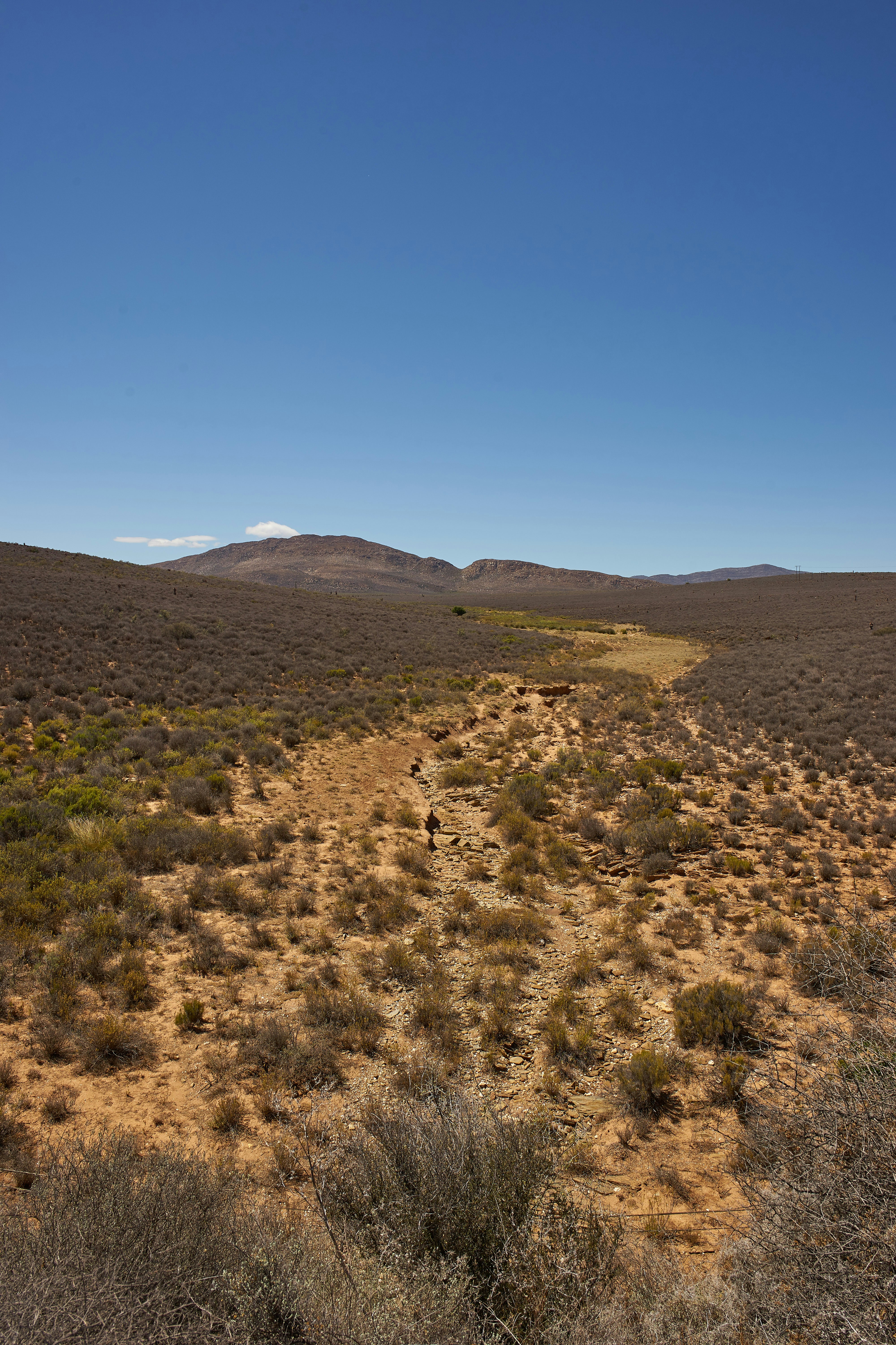 Photo by wolfgang_hasselmann