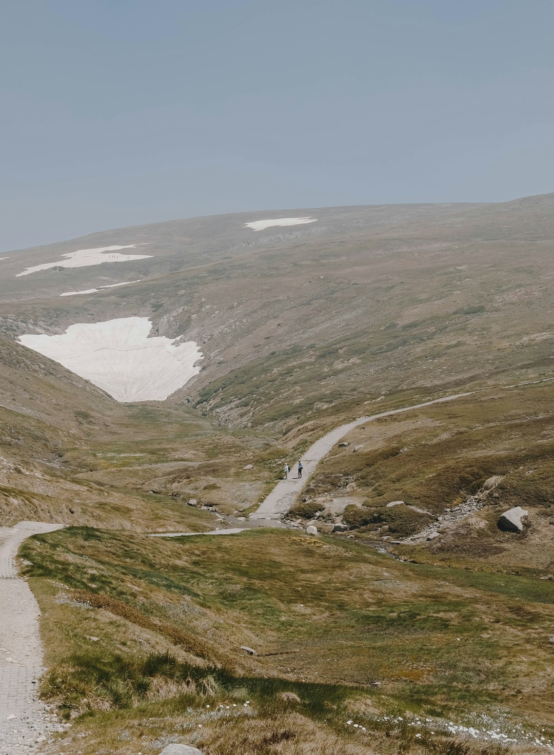 travelers stories about Tundra in Australian Alps Walking Track, Australia