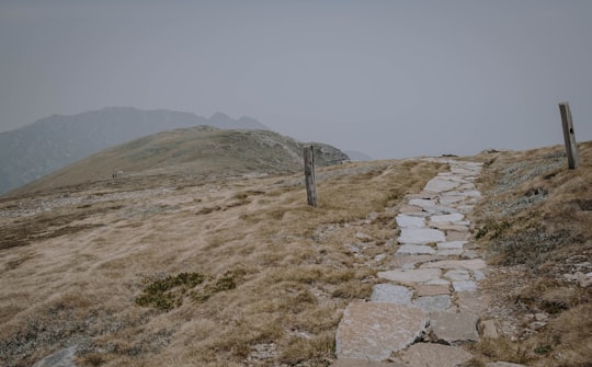 gray concrete brick wall near green grass field during daytime in Kosciuszko National Park NSW Australia