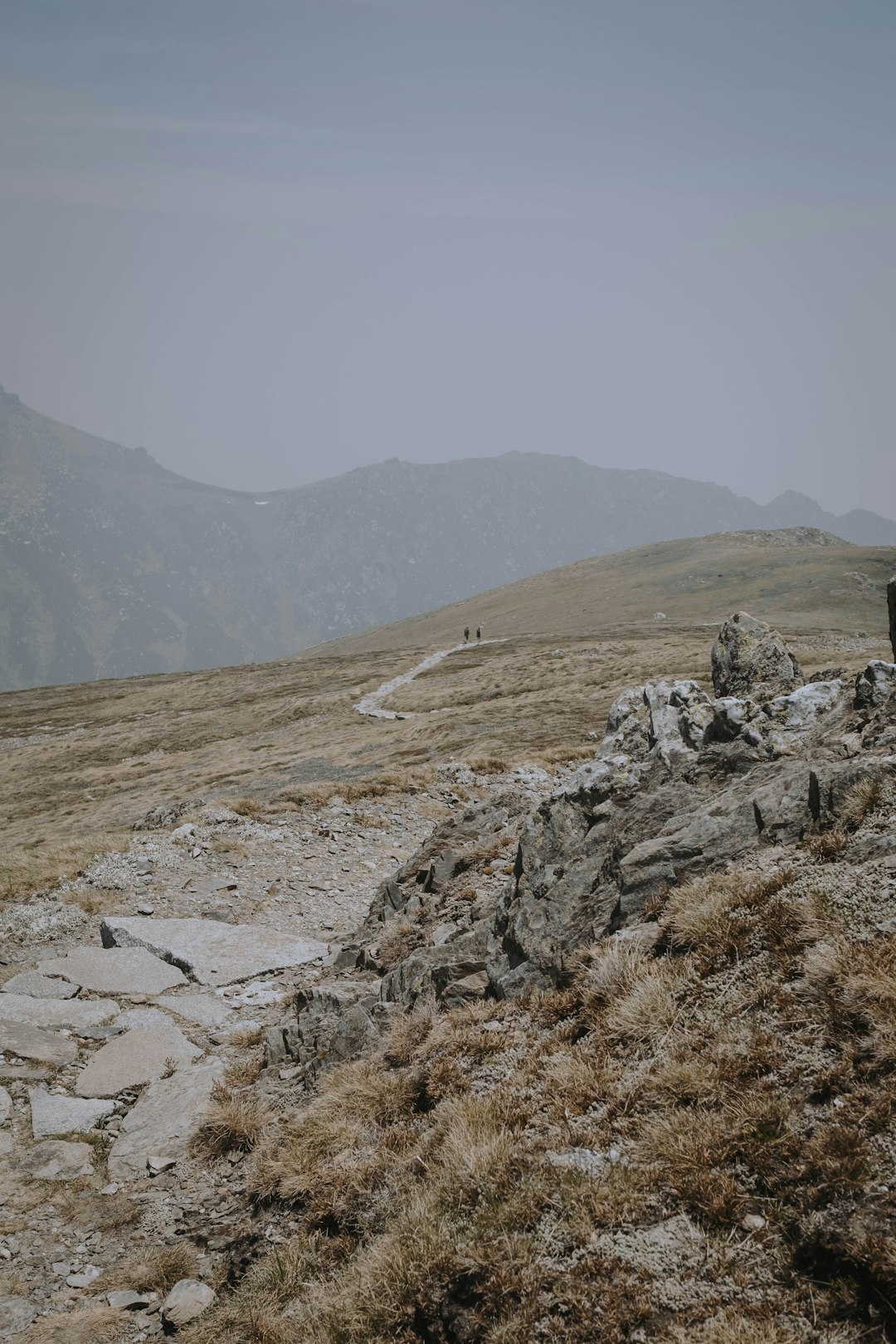 travelers stories about Ecoregion in Kosciuszko National Park NSW, Australia