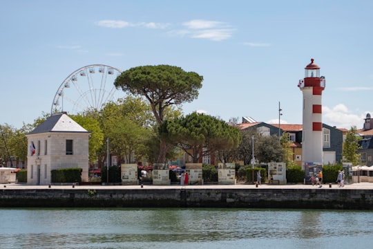 green trees near body of water during daytime in Port de La Rochelle France