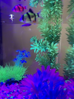 A colorful aquarium filled with vibrant fish and lush artificial plants. The tank is adorned with various vivid hues of blue, green, and magenta, with fish swimming among the foliage. The tank's substrate is covered with bright pink and purple pebbles, enhancing the neon aesthetic.
