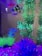 A vibrant aquarium filled with colorful exotic fish swimming among lush aquatic plants.