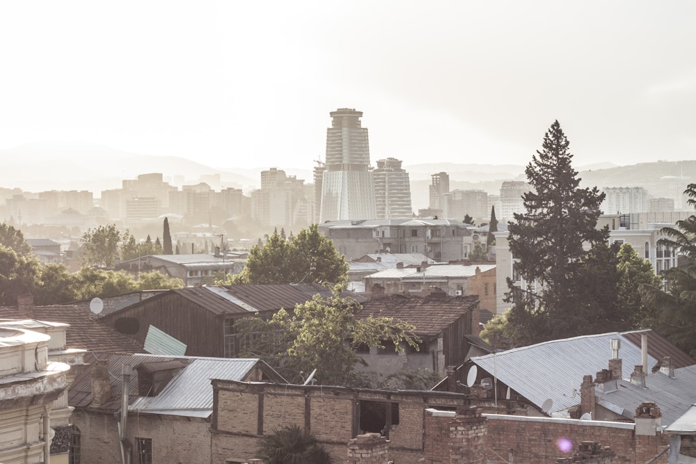 brown and white concrete buildings during daytime