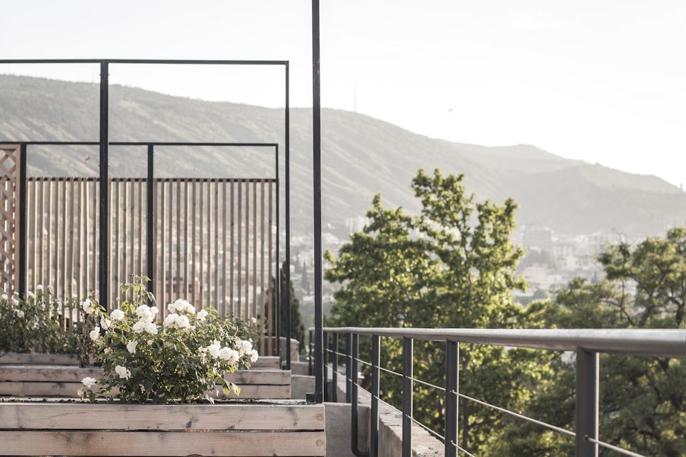 brown wooden fence near green trees during daytime