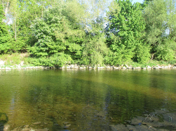 A serene view of the restored riverbank with lush greenery and clear flowing water.