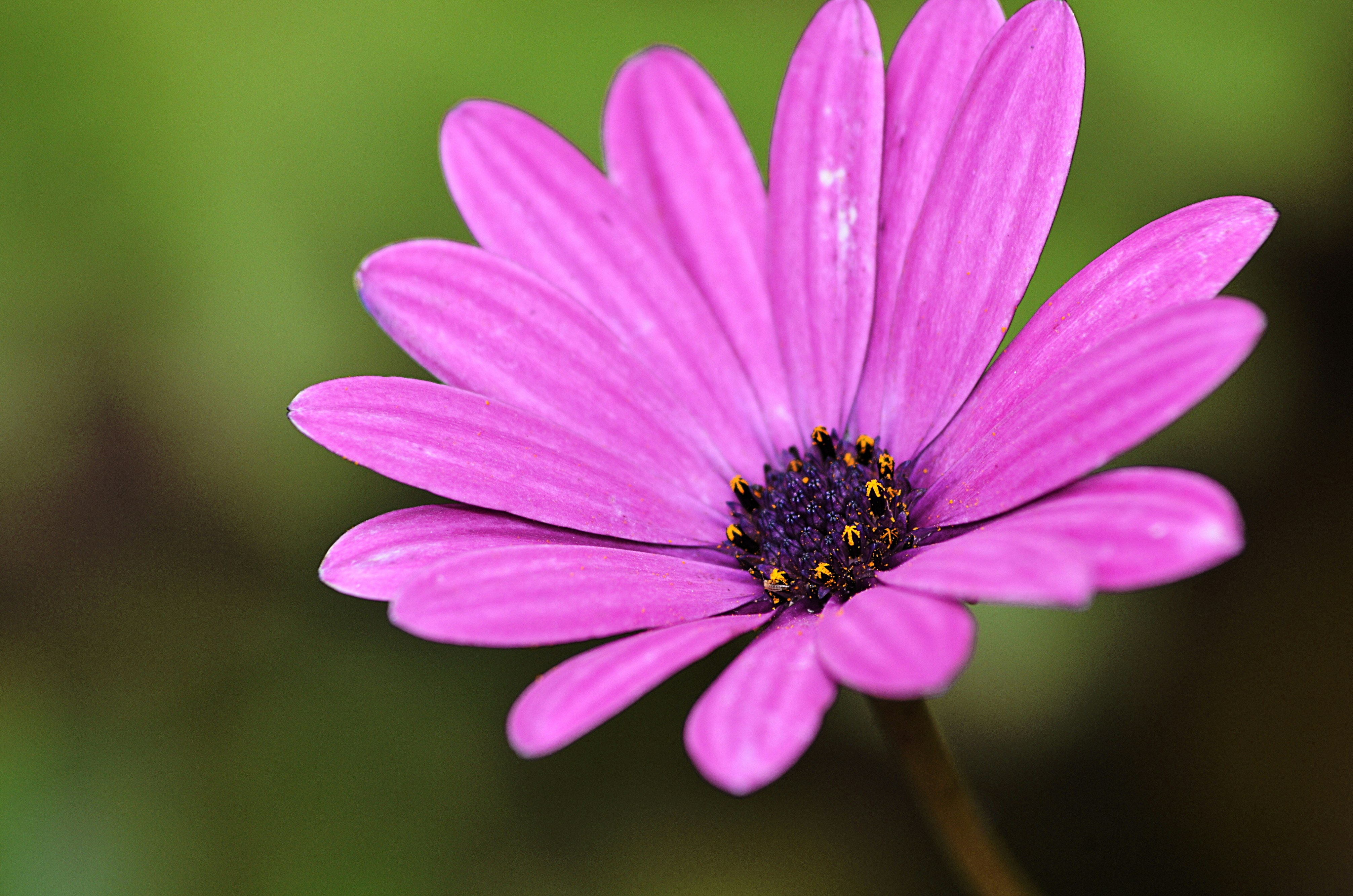 Photo by soufiane_photo_focus