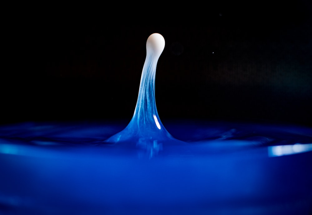white light bulb on blue water