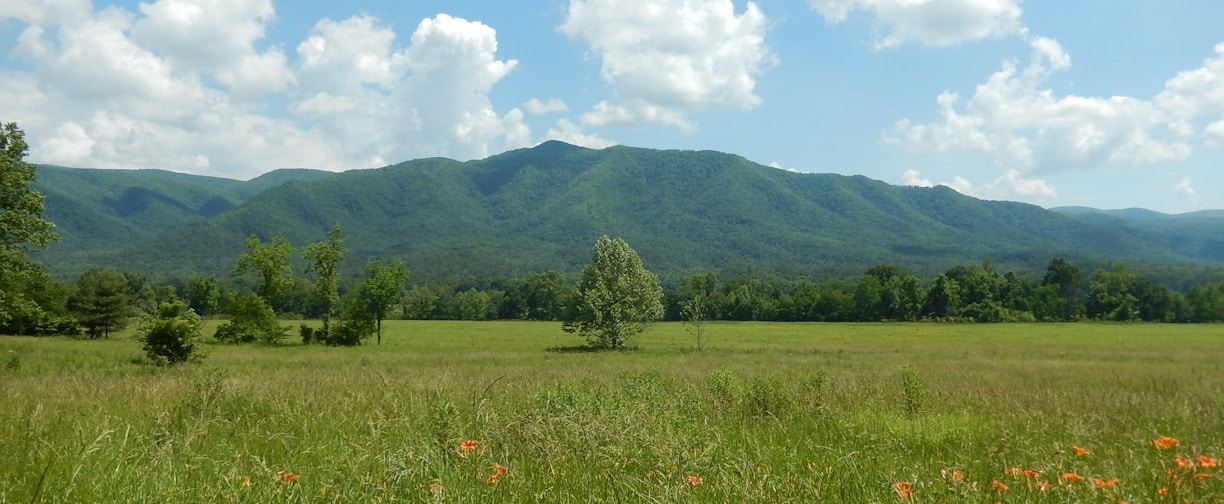 green grass field near mountain under blue sky during daytime