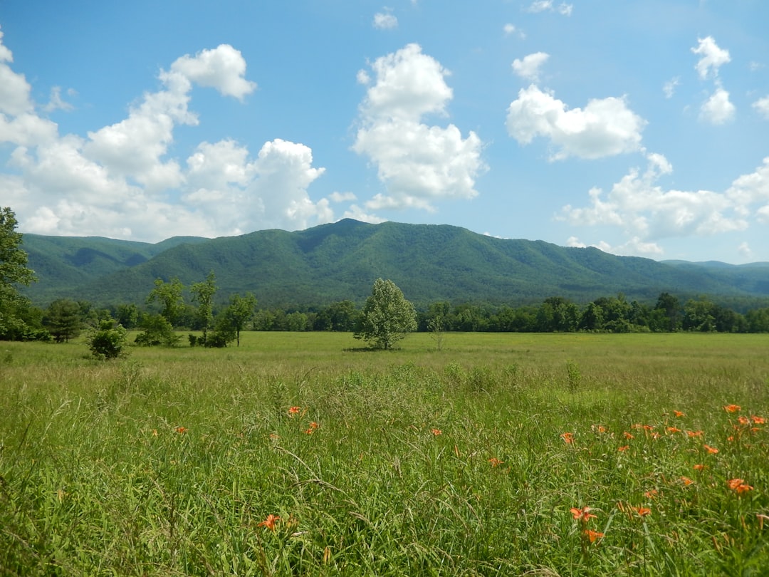 Plain photo spot Great Smoky Mountains National Park Cades Cove