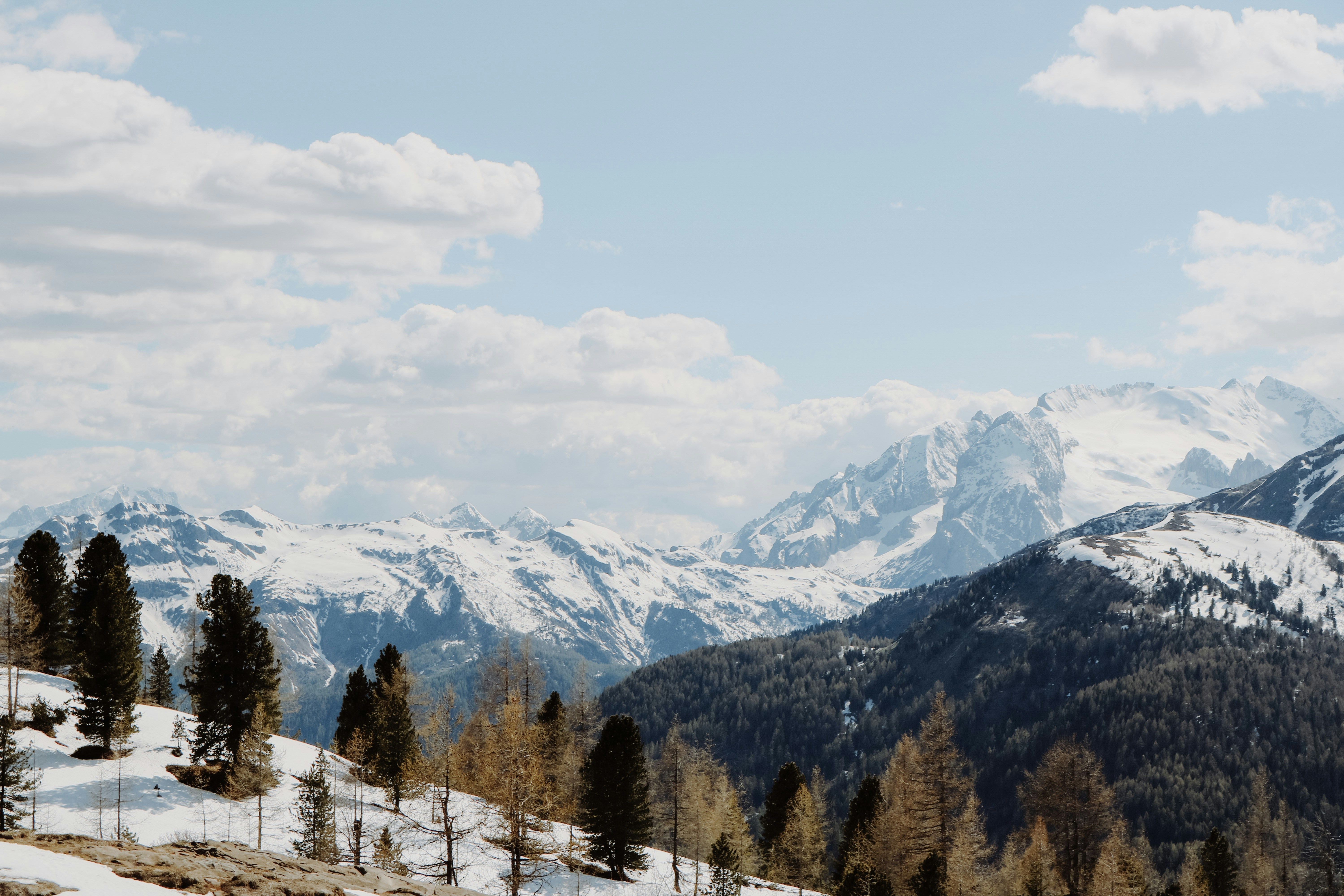 Photo by irinamarie__