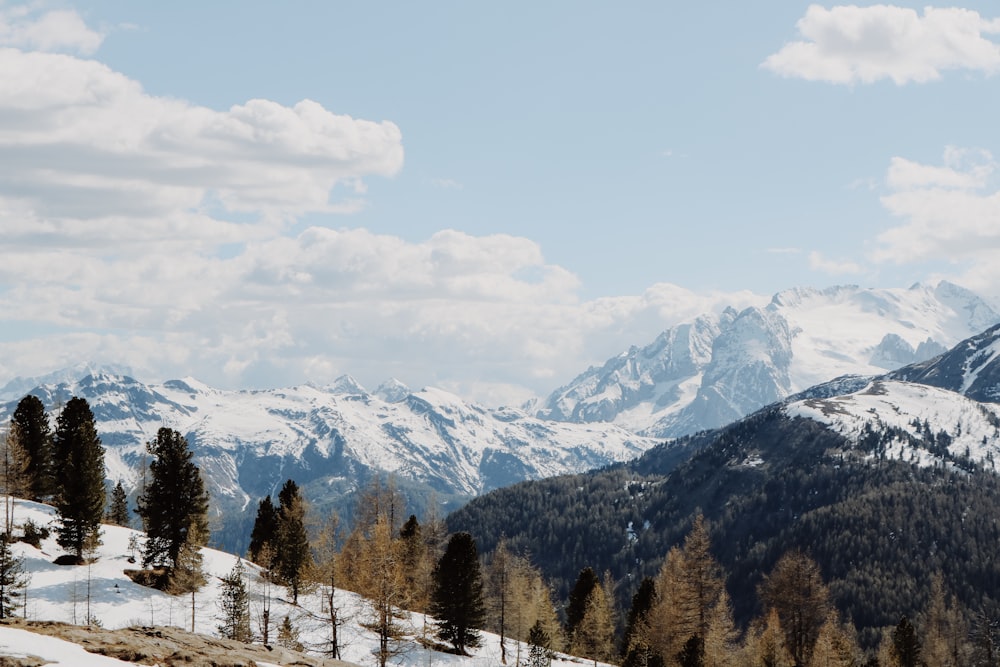 green trees near snow covered mountain during daytime