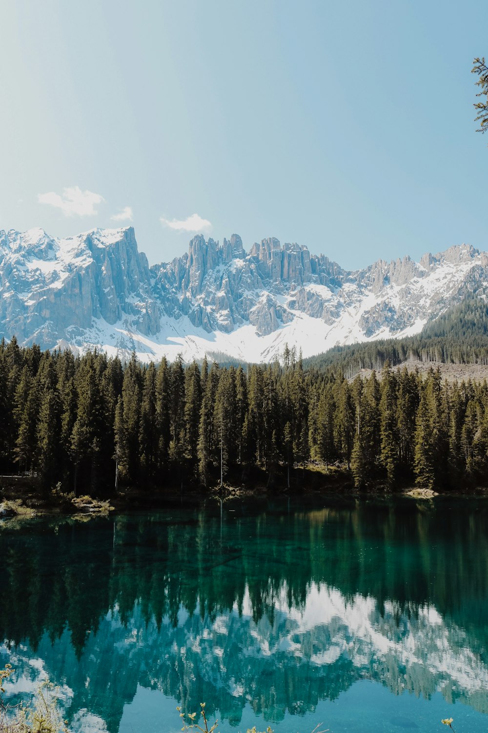 green pine trees near lake and snow covered mountain during daytime