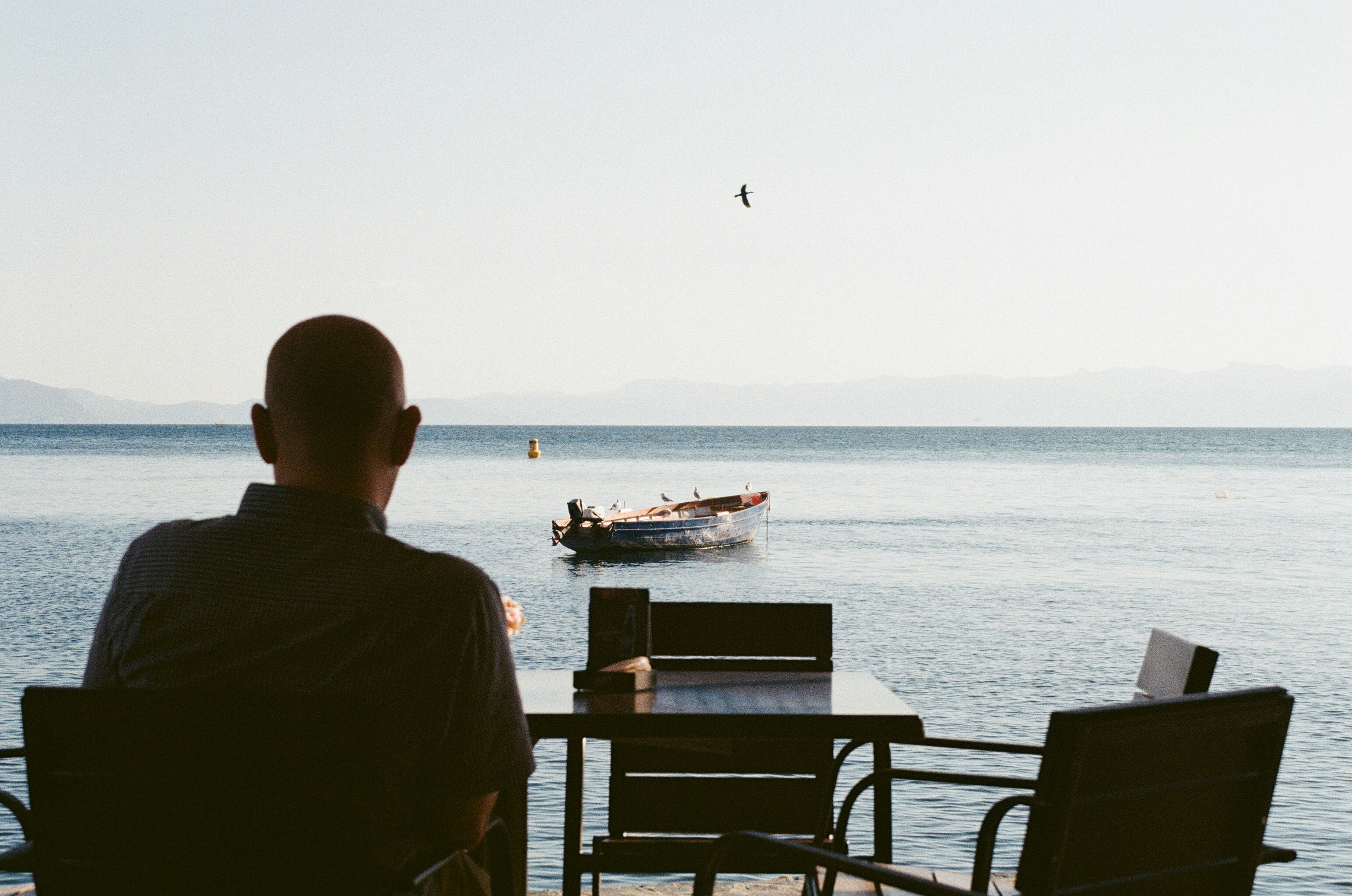 man in black shirt sitting on brown wooden bench looking at the sea during daytime, Man drinking coffee with a view of Ohrid Lake