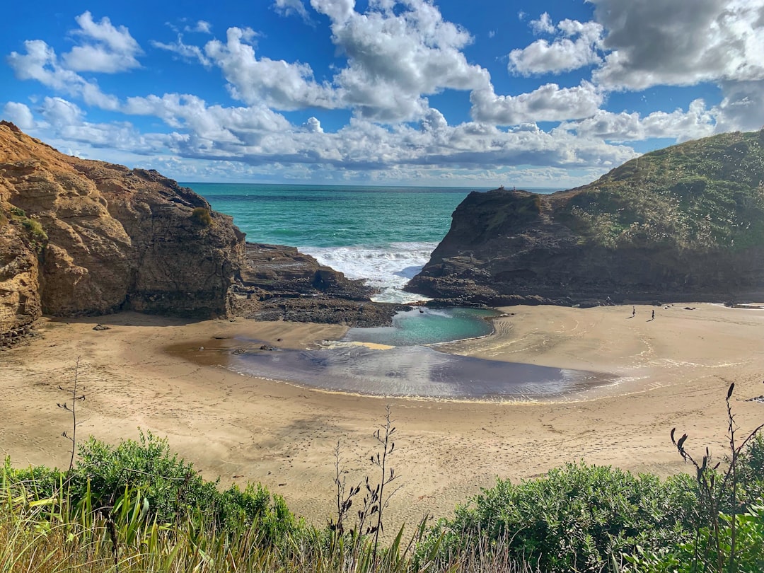 Beach photo spot Tasman Lookout Track Mission Bay