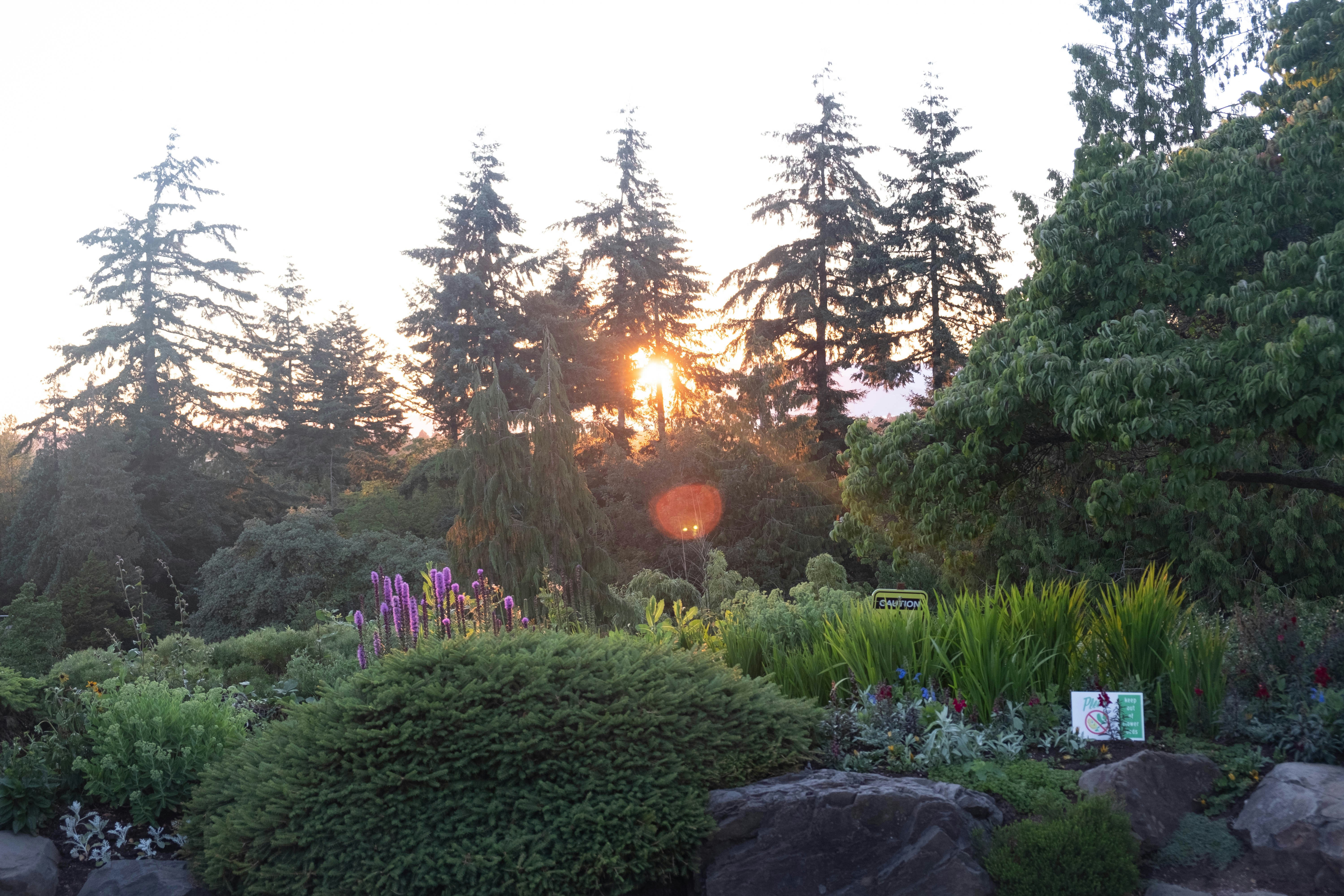 Skyrman Arboretum