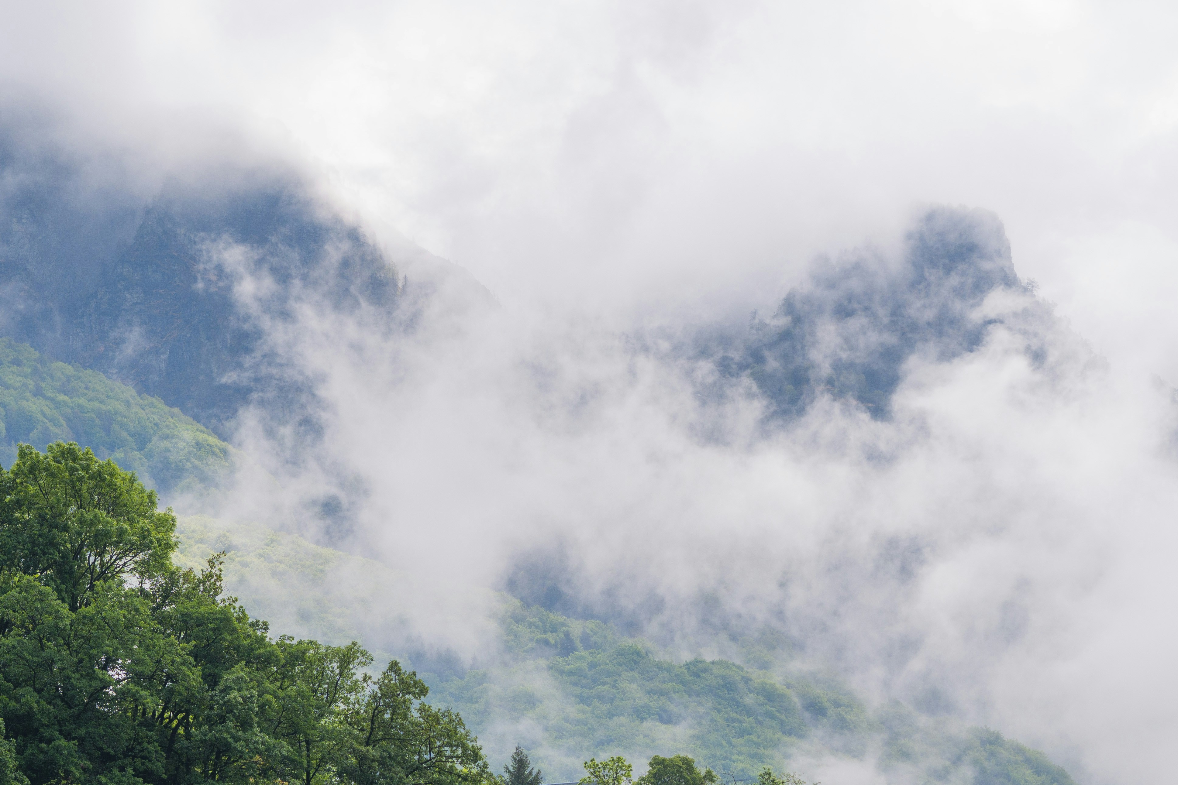 Photo by calicodesign