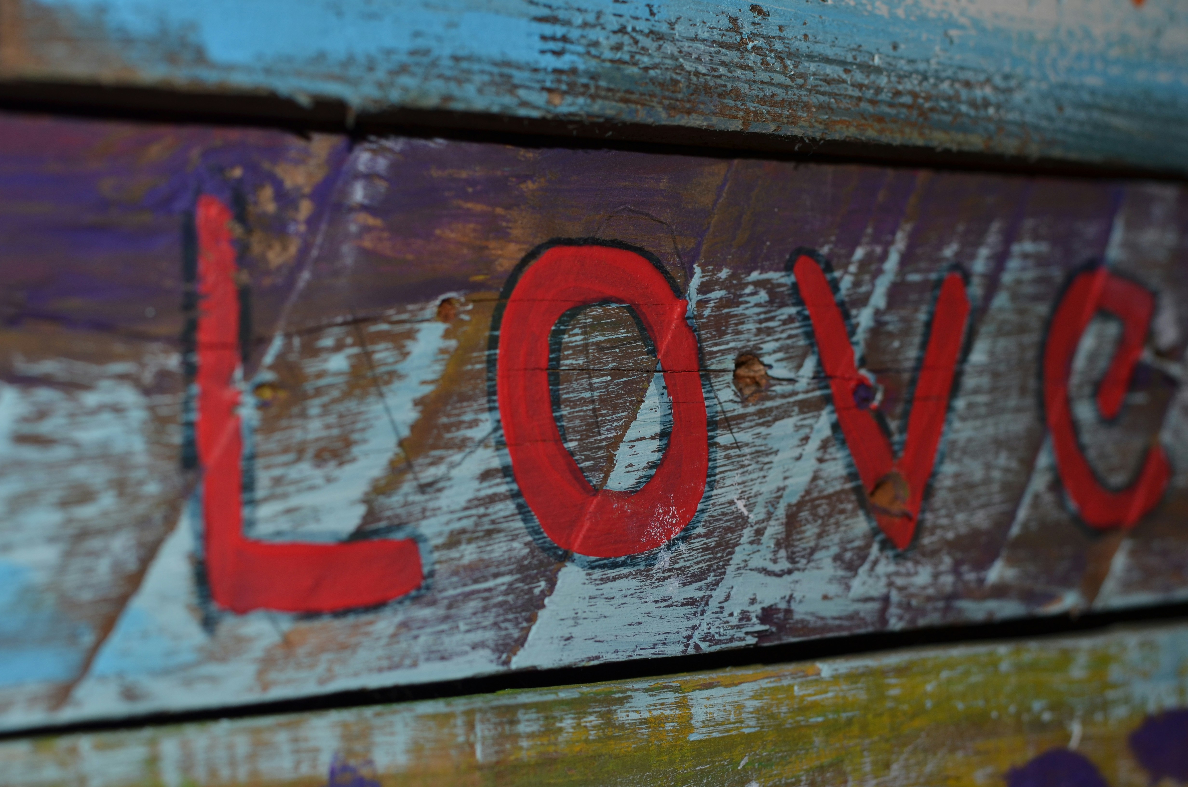 Love in the Fast Lane: Accelerating Your Journey to Relationship Bliss