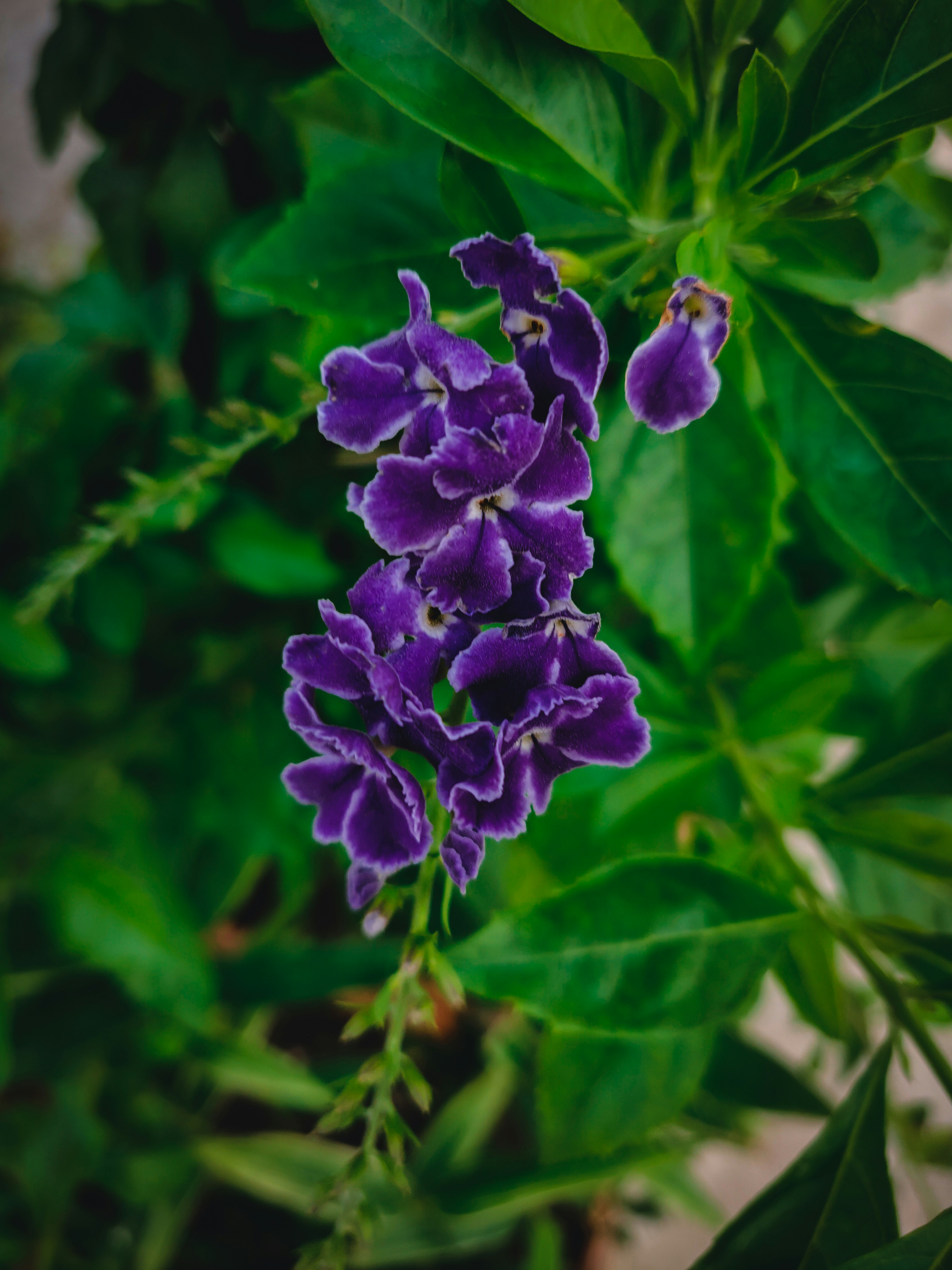 Photo by rabbi_fahim