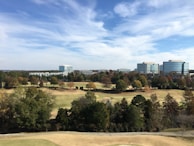 A scenic view of the local area where the organization operates.