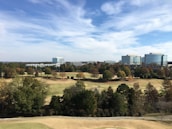 A scenic view of the local area where the organization operates.