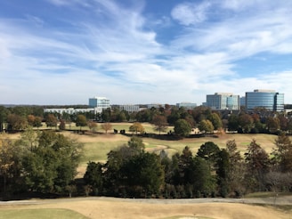 A scenic view of a sustainable business environment.