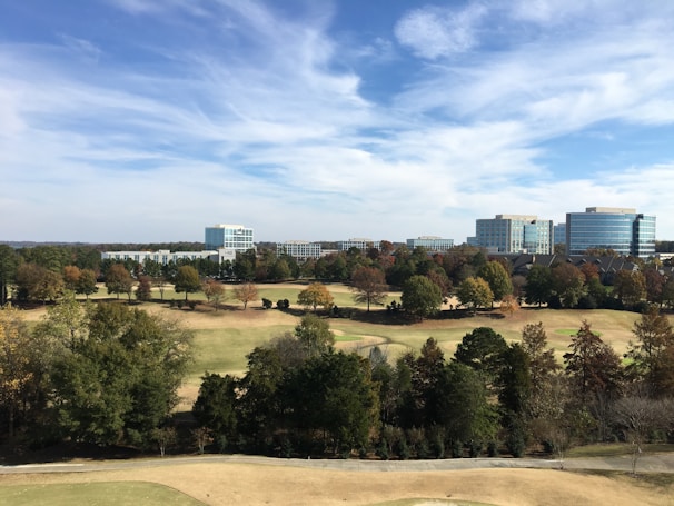 A scenic view of a sustainable business environment.