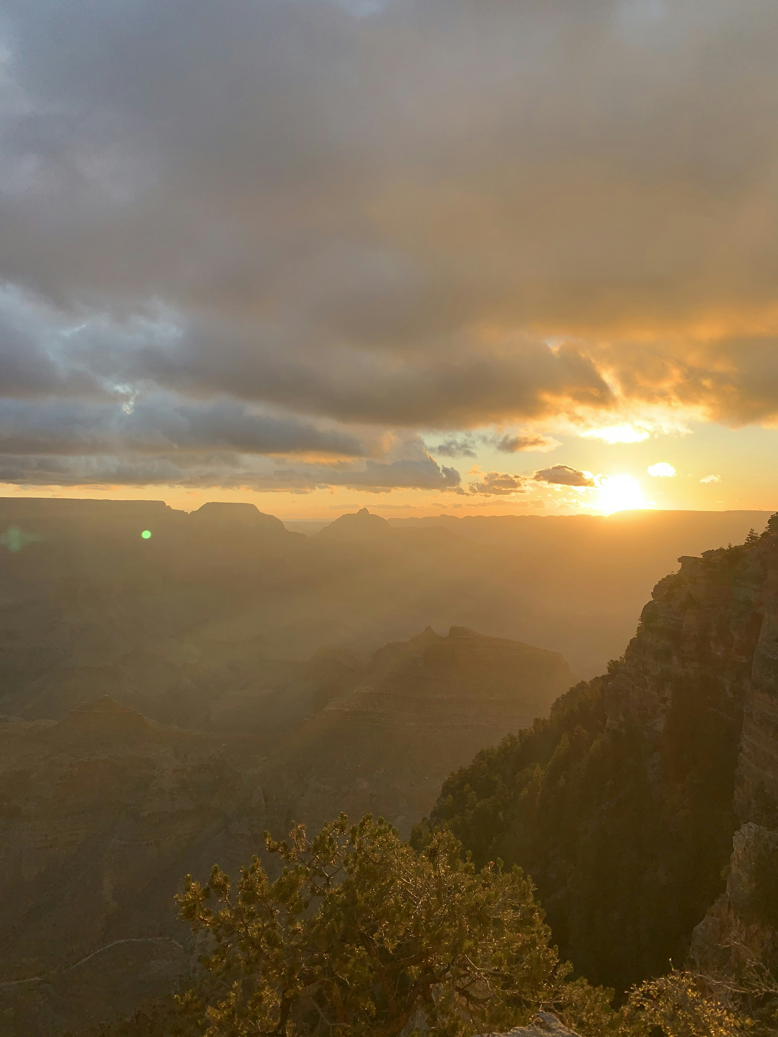 Photo by siamialtrice_