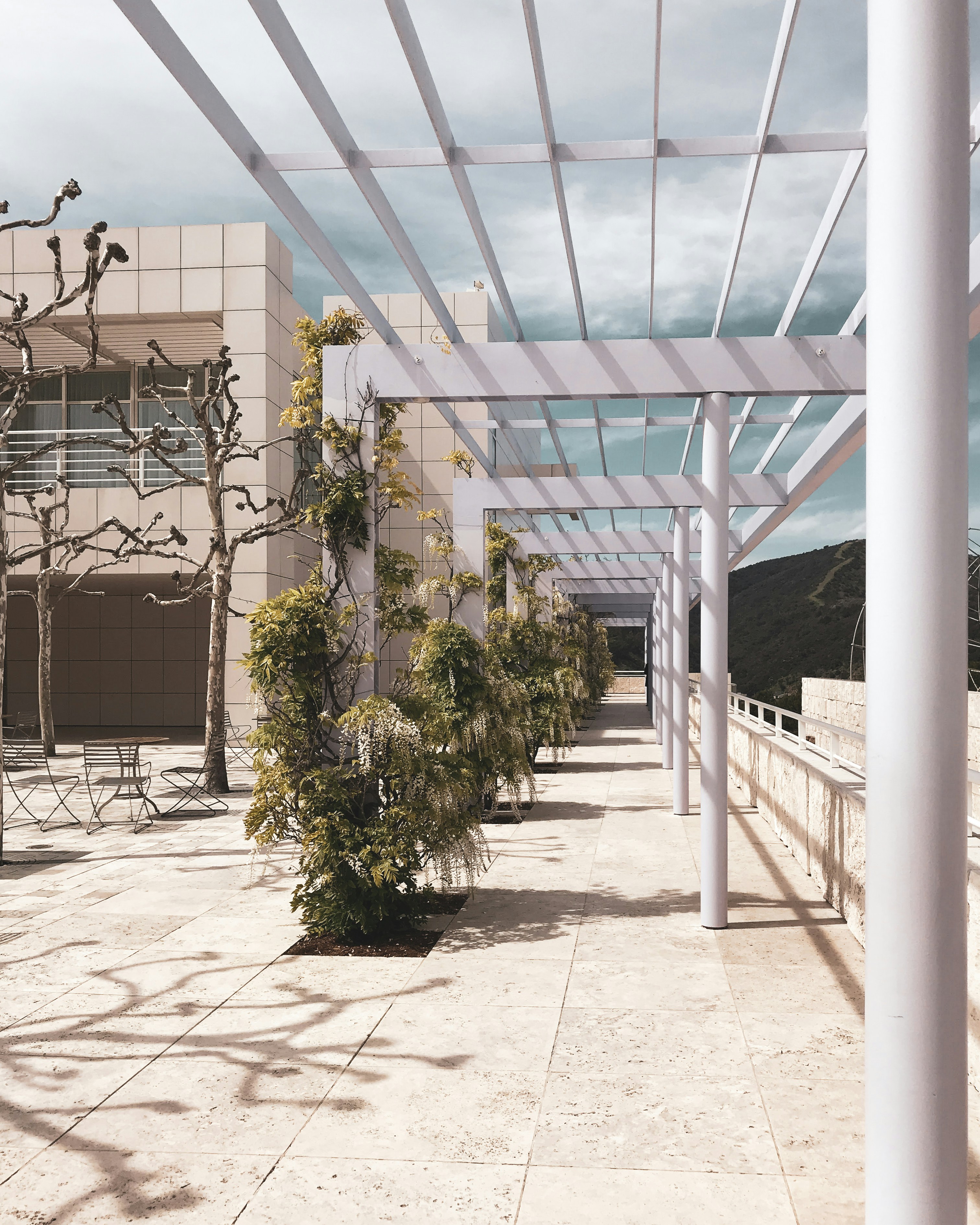 Photo by courtneypickens