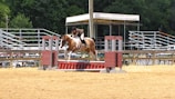 A horse jumping over an obstacle in a competition.