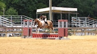 A horse and rider are in mid-jump over an obstacle that resembles a small brick wall on a sandy competition ground. In the background, there are empty bleachers and a canopy structure. The setting suggests an equestrian event, and the area is surrounded by lush green trees.