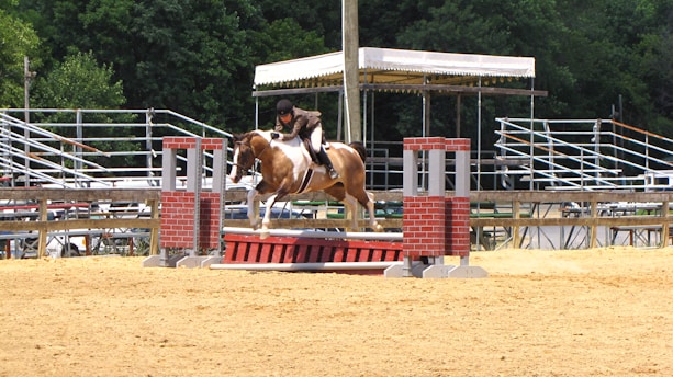 A horse and rider are in mid-jump over an obstacle that resembles a small brick wall on a sandy competition ground. In the background, there are empty bleachers and a canopy structure. The setting suggests an equestrian event, and the area is surrounded by lush green trees.