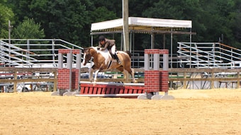 A horse and rider are in mid-jump over an obstacle that resembles a small brick wall on a sandy competition ground. In the background, there are empty bleachers and a canopy structure. The setting suggests an equestrian event, and the area is surrounded by lush green trees.