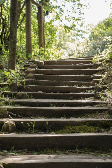 brown wooden stairs in forest during daytime