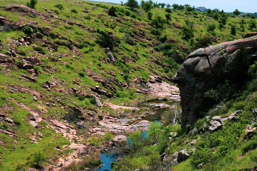 grama verde e lago azul