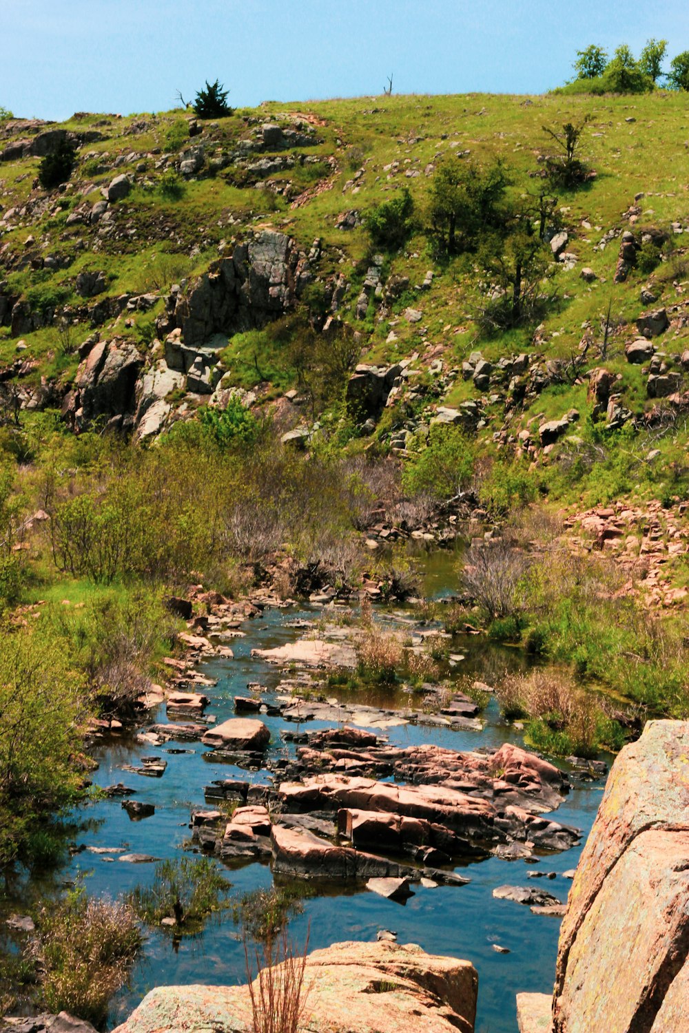 grama verde e rochas marrons perto do rio durante o dia